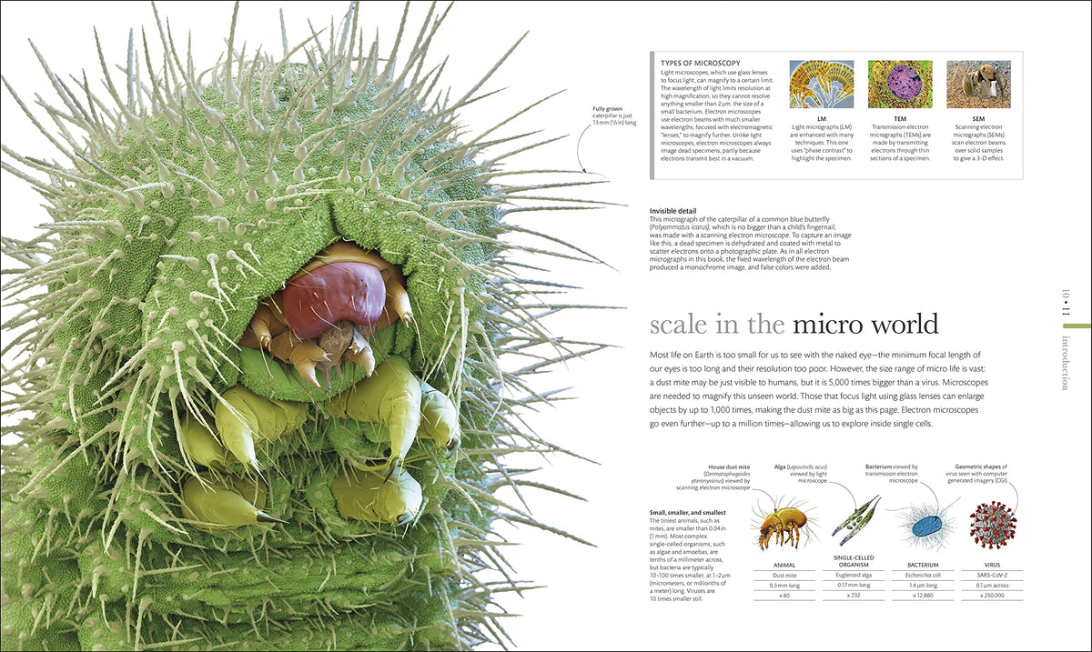 Micro Life: Miracles of the Miniature World Revealed (DK Secret World Encyclopedias) (Packaging may vary)