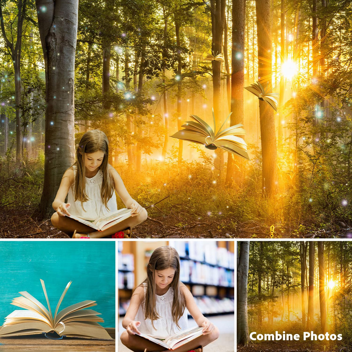 Adobe Photoshop Elements 2025 & Premiere Elements 2025 Student & Teacher Edition | PC/Mac Code