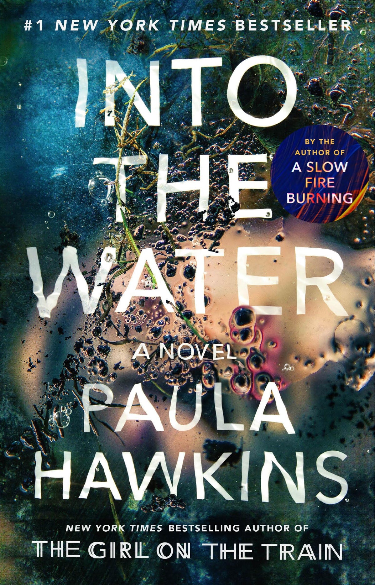 Into the Water: A Novel- PB